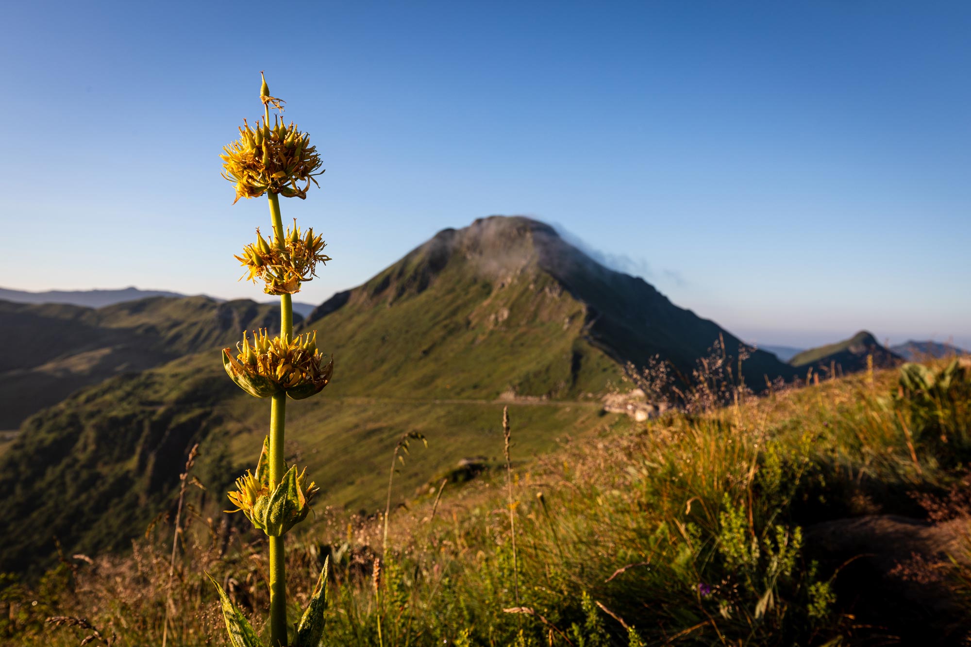 Puy Mary - Cantal ©puydimages